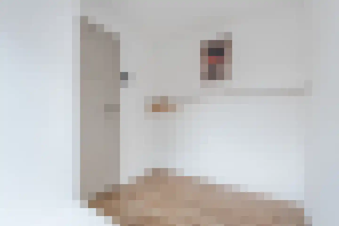Buddingerstraat 38 Ruinerwold thumbnail 19