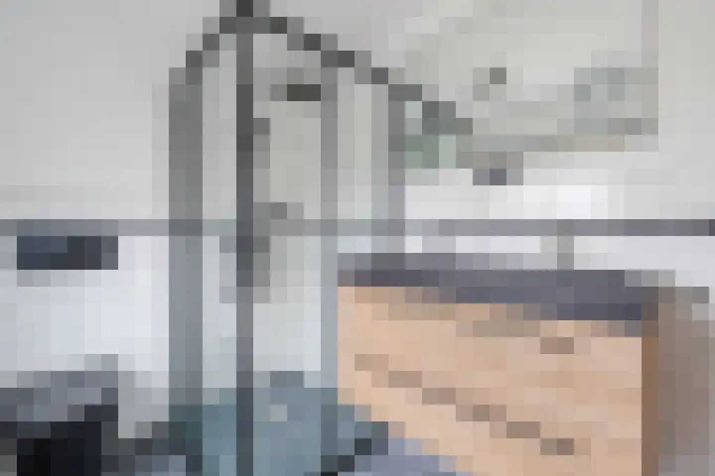 Buddingerstraat 38 Ruinerwold thumbnail 20