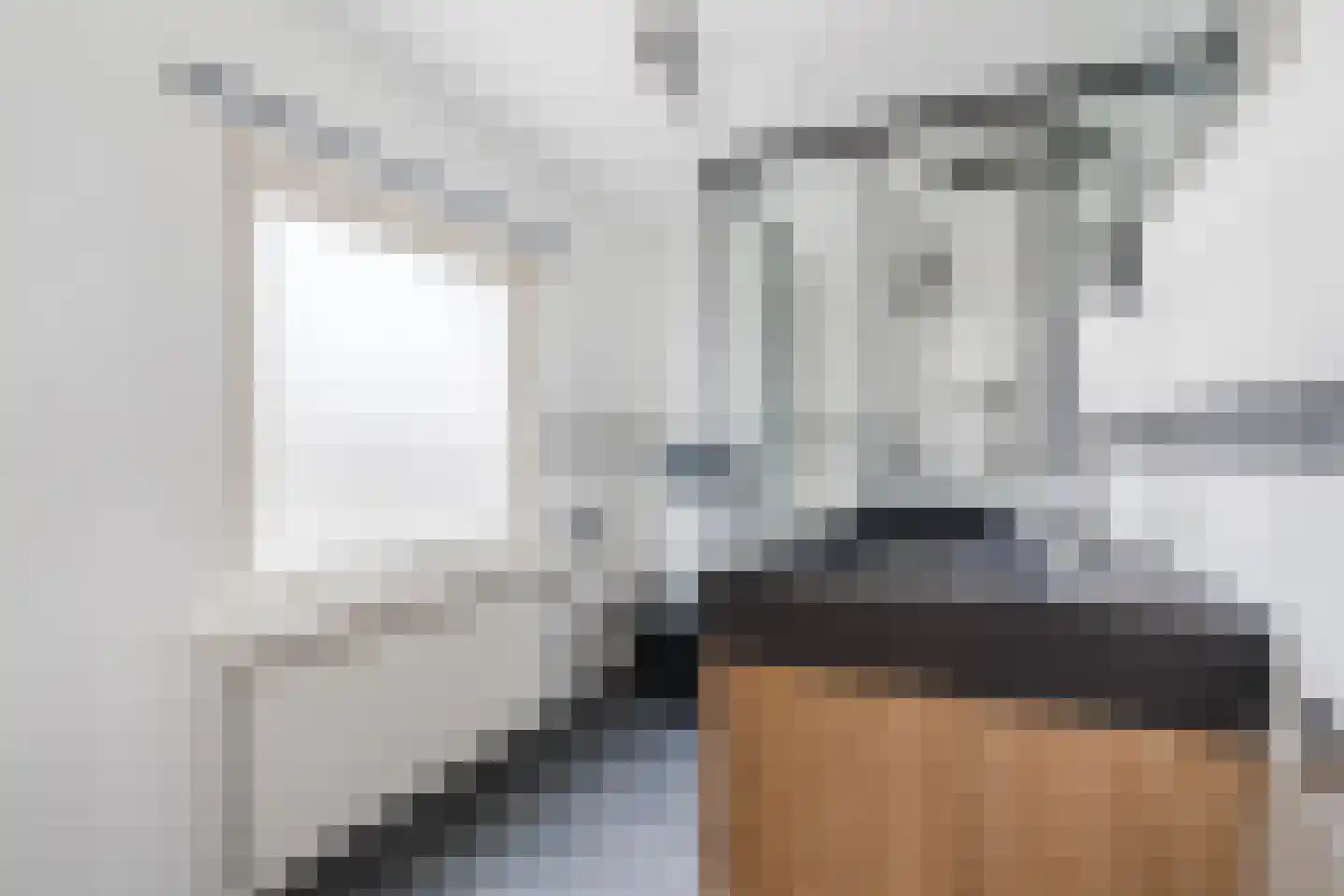 Buddingerstraat 38 Ruinerwold thumbnail 21