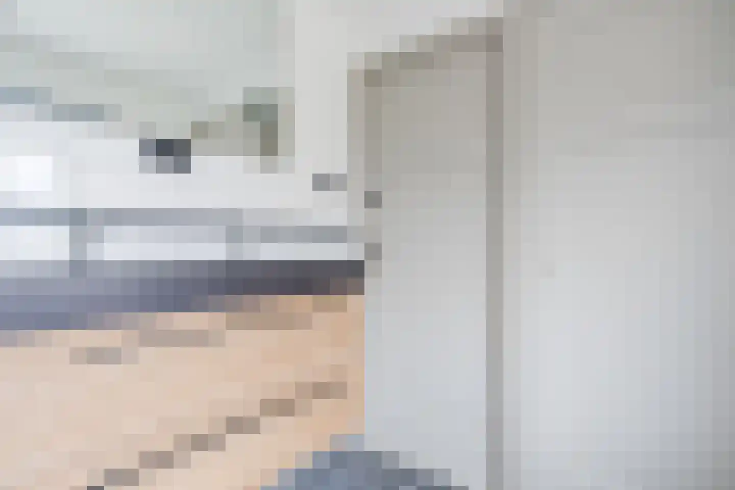 Buddingerstraat 38 Ruinerwold thumbnail 22