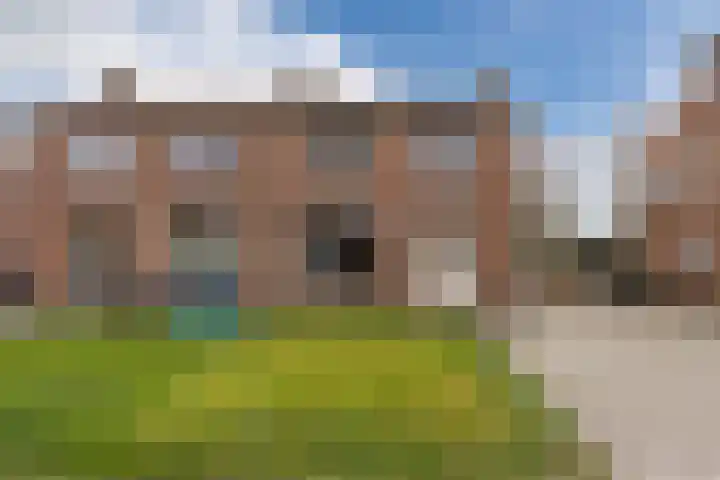 Buddingerstraat 38 Ruinerwold thumbnail 24