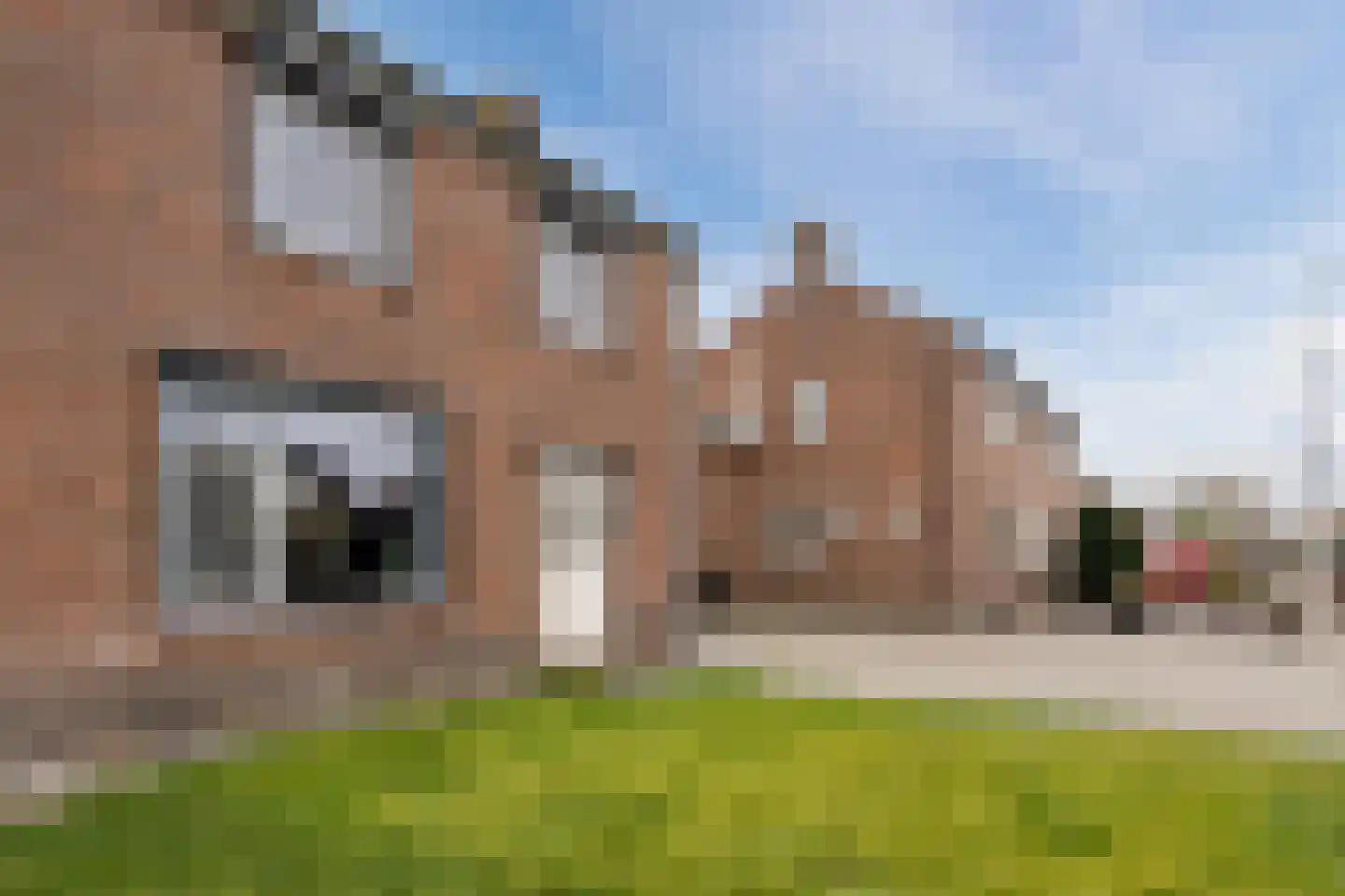 Buddingerstraat 38 Ruinerwold thumbnail 25
