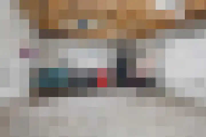 Buddingerstraat 38 Ruinerwold thumbnail 28