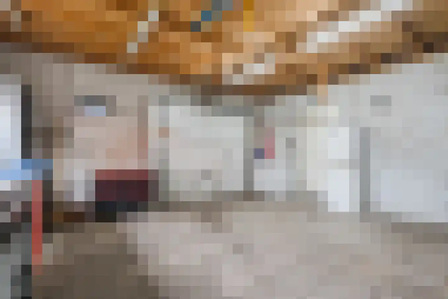 Buddingerstraat 38 Ruinerwold thumbnail 29