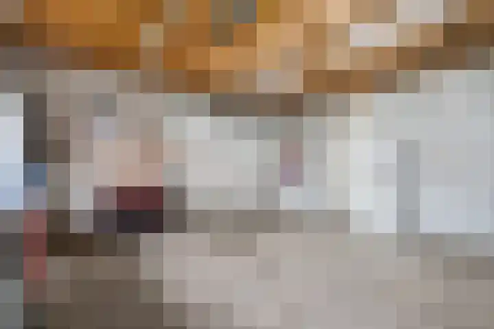 Buddingerstraat 38 Ruinerwold thumbnail 29