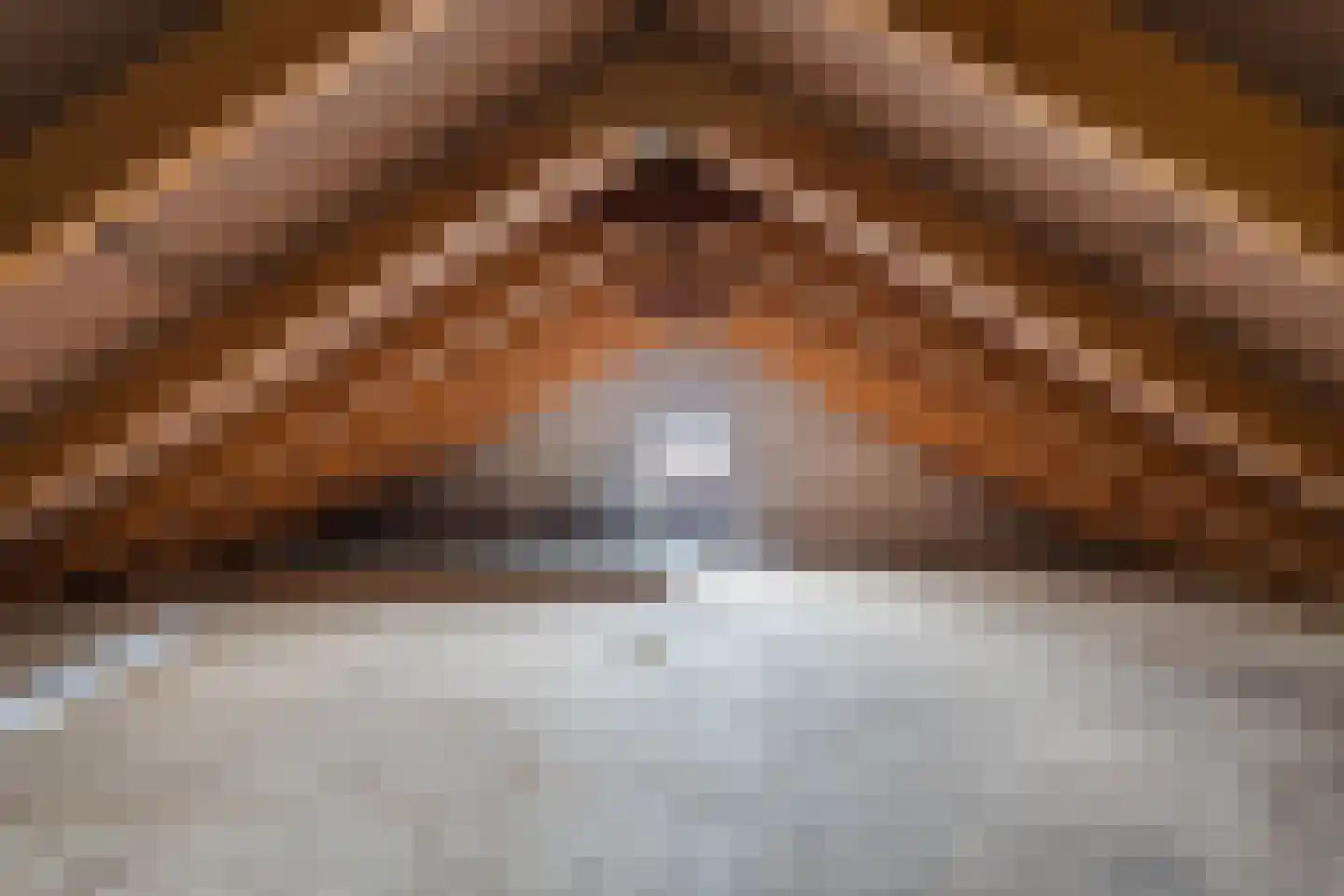 Buddingerstraat 38 Ruinerwold thumbnail 30