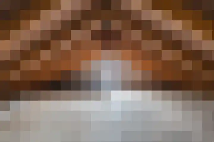 Buddingerstraat 38 Ruinerwold thumbnail 30