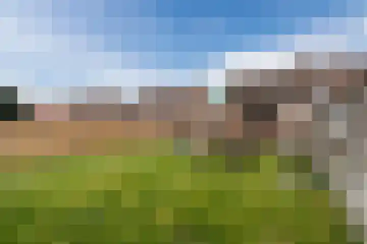 Buddingerstraat 38 Ruinerwold thumbnail 32
