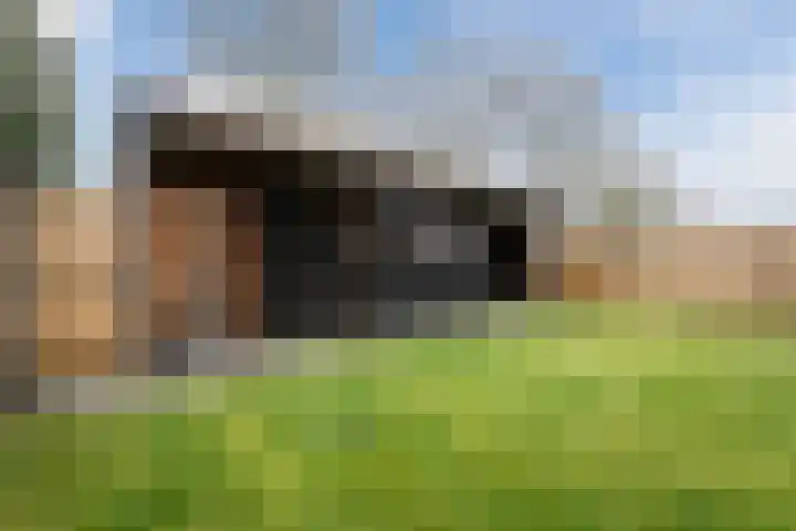 Buddingerstraat 38 Ruinerwold thumbnail 33