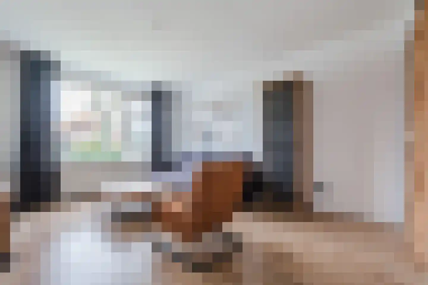 Buddingerstraat 38 Ruinerwold thumbnail 4