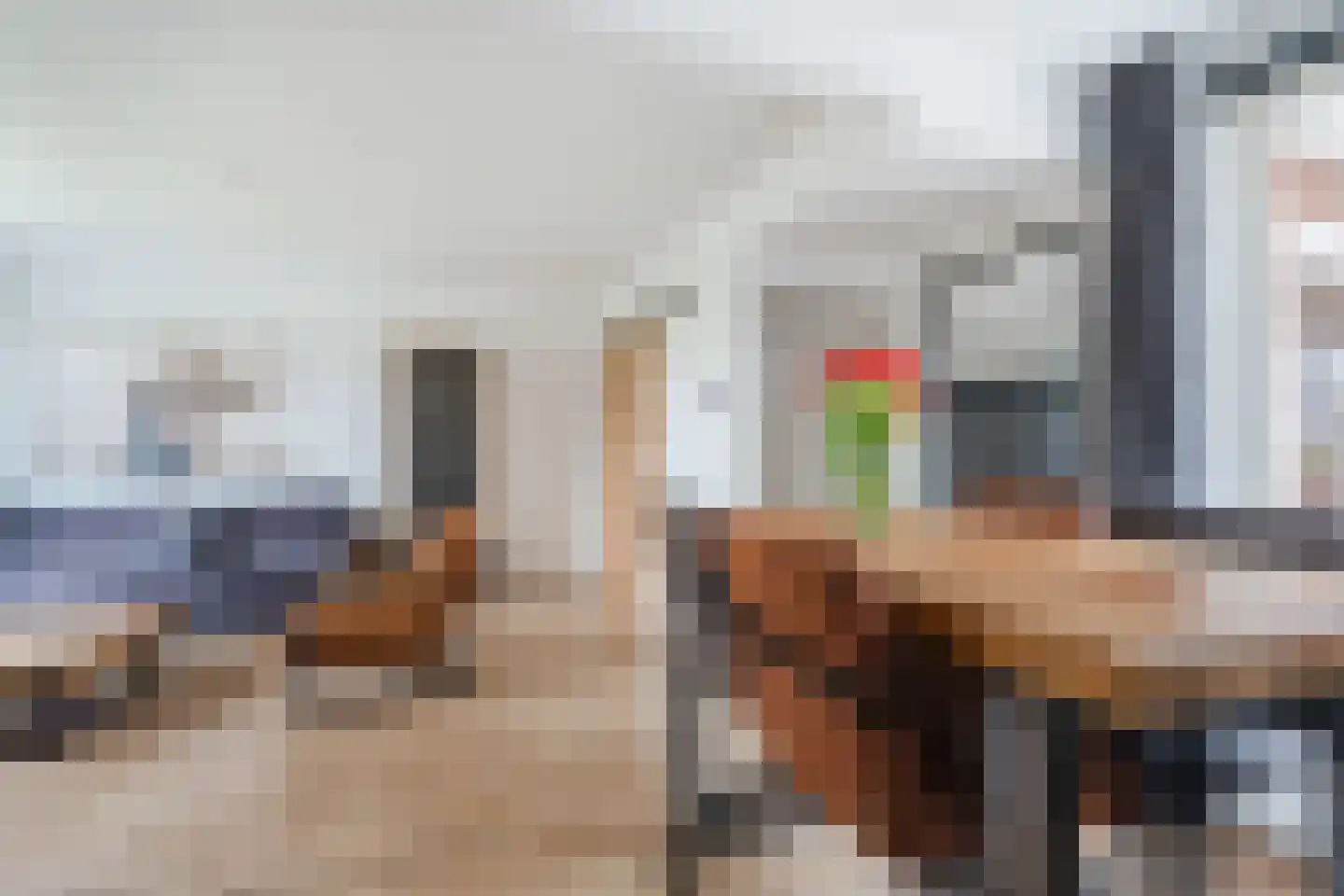 Buddingerstraat 38 Ruinerwold thumbnail 7