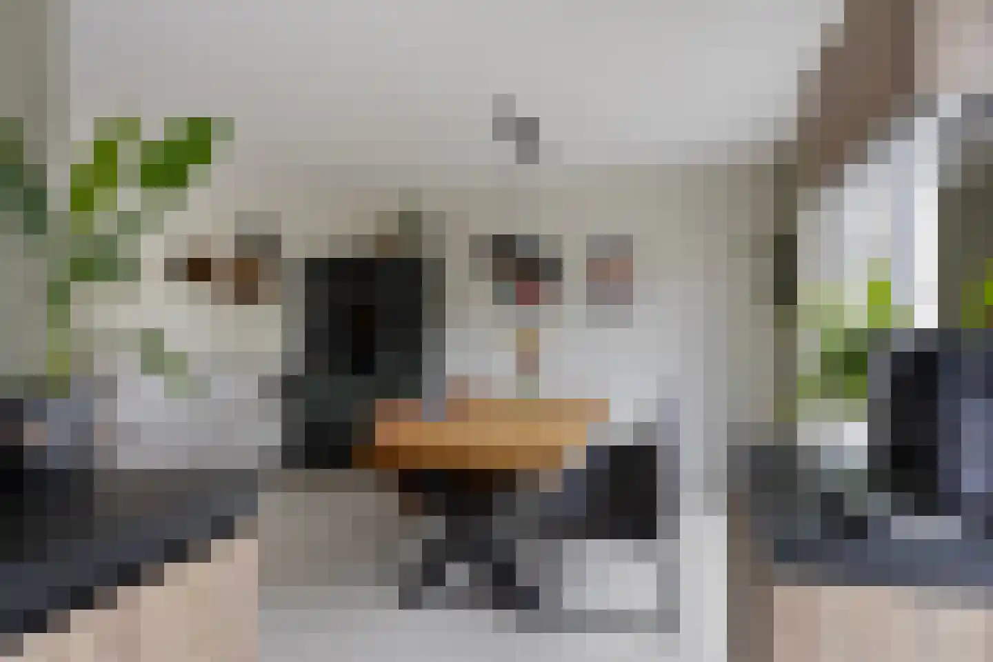Buddinghof 17 Veenendaal thumbnail 10