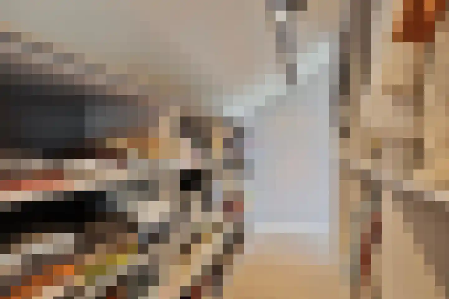 Buddinghof 17 Veenendaal thumbnail 28