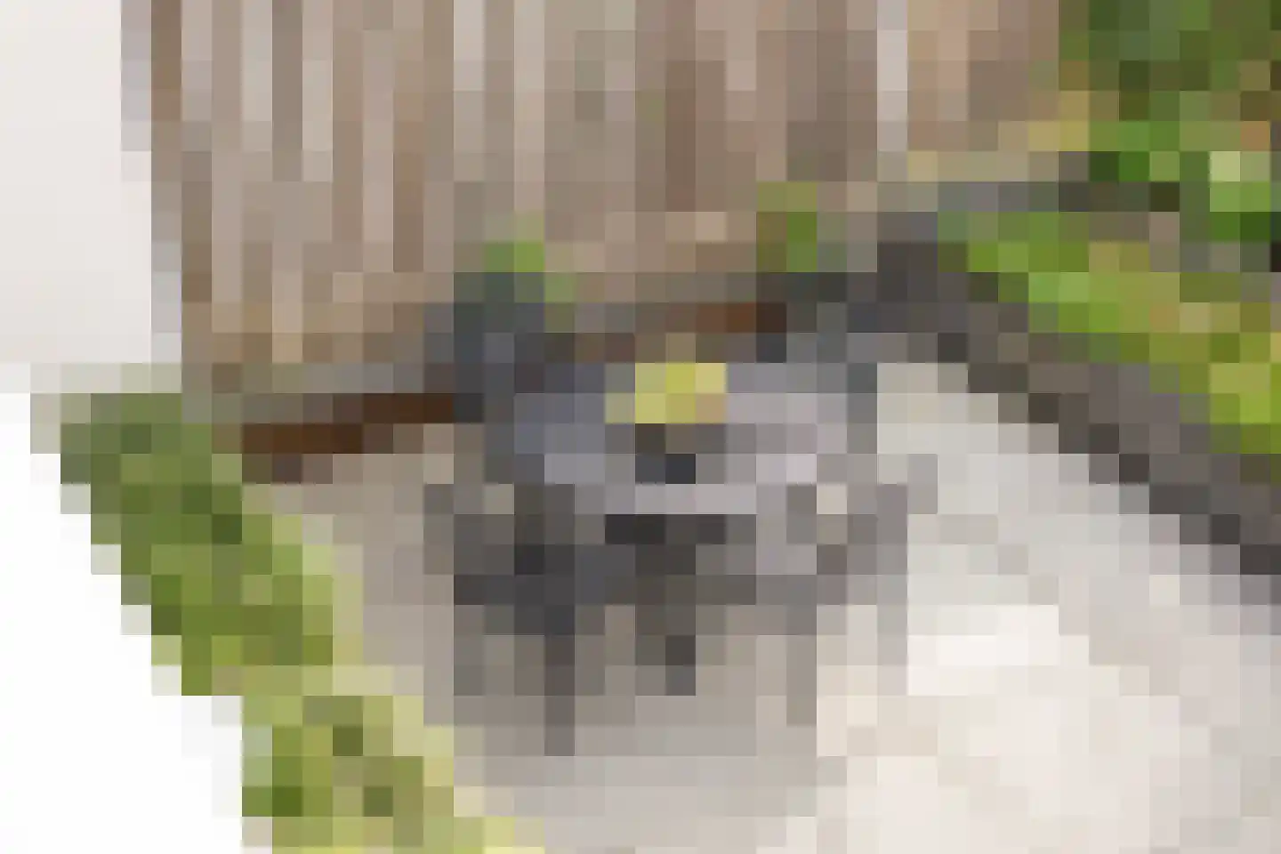 Buddinghof 17 Veenendaal thumbnail 33