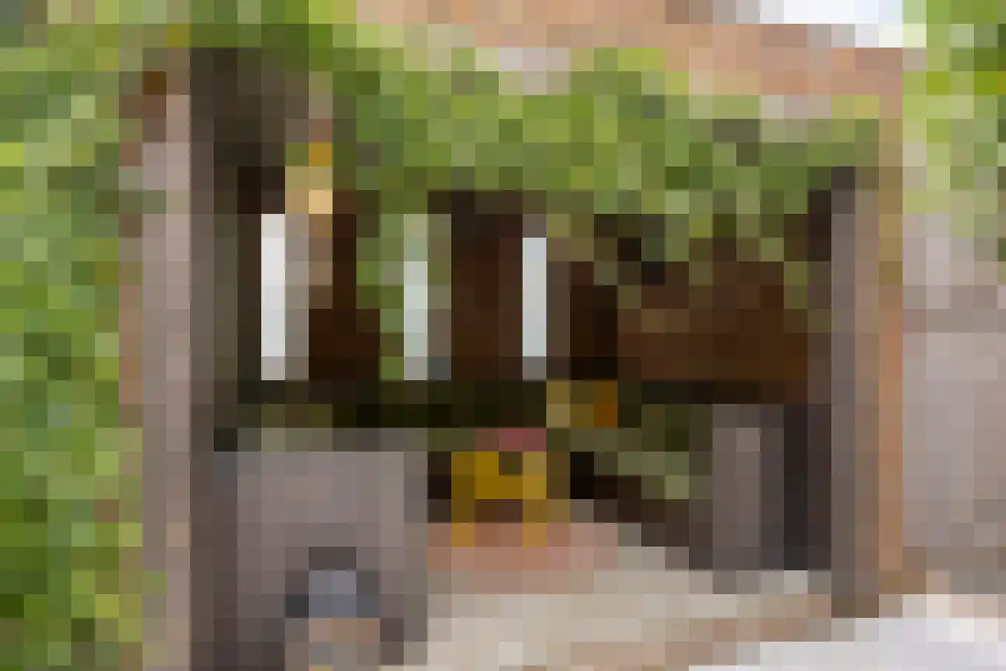 Buddinghof 17 Veenendaal thumbnail 35