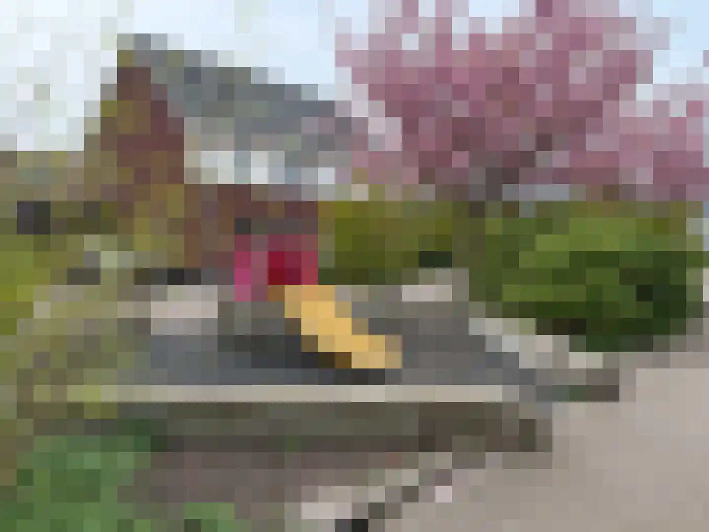 Buddinghof 17 Veenendaal thumbnail 40
