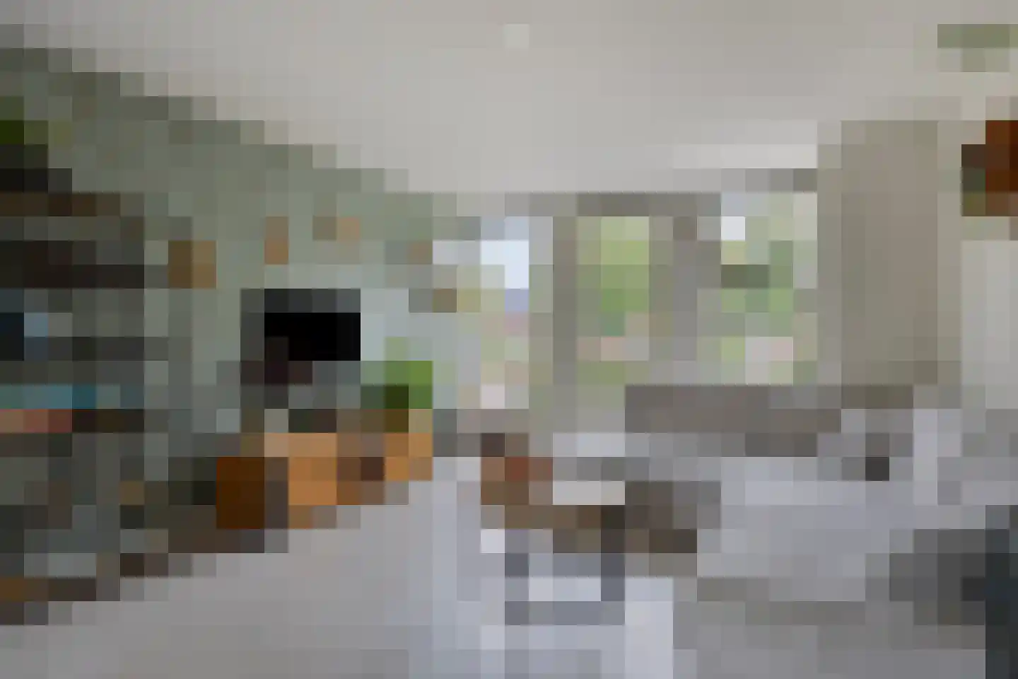 Buddinghof 17 Veenendaal thumbnail 5