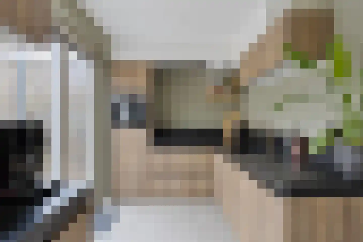 Buddinghof 17 Veenendaal thumbnail 9