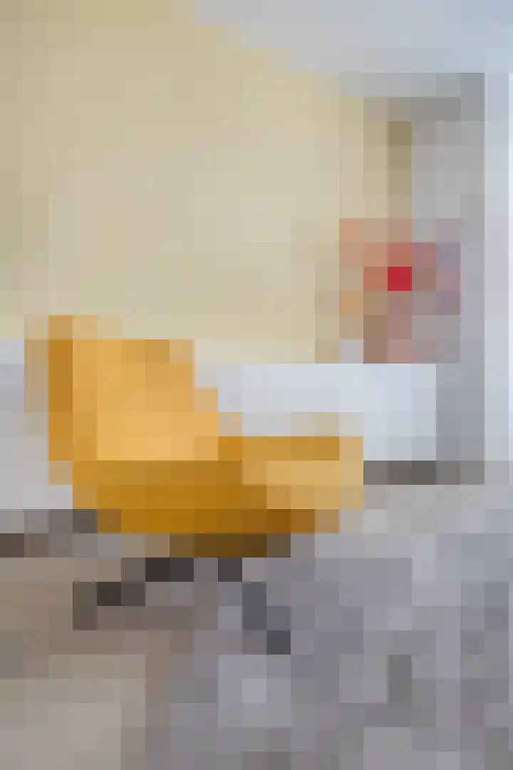 Buddinghof 19 Veenendaal thumbnail 12