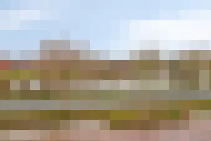 Buddinghof 19 Veenendaal thumbnail 38