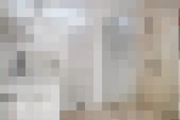 Buddinghof 19 Veenendaal thumbnail 4