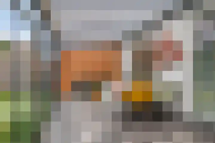 Buddinghof 19 Veenendaal thumbnail 43
