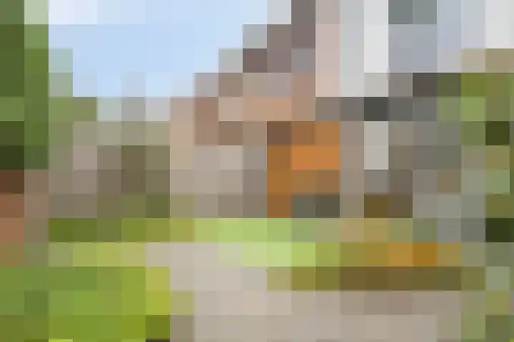 Buddinghof 19 Veenendaal thumbnail 46