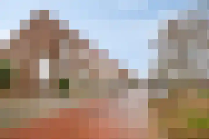 Buddinghof 19 Veenendaal thumbnail 52