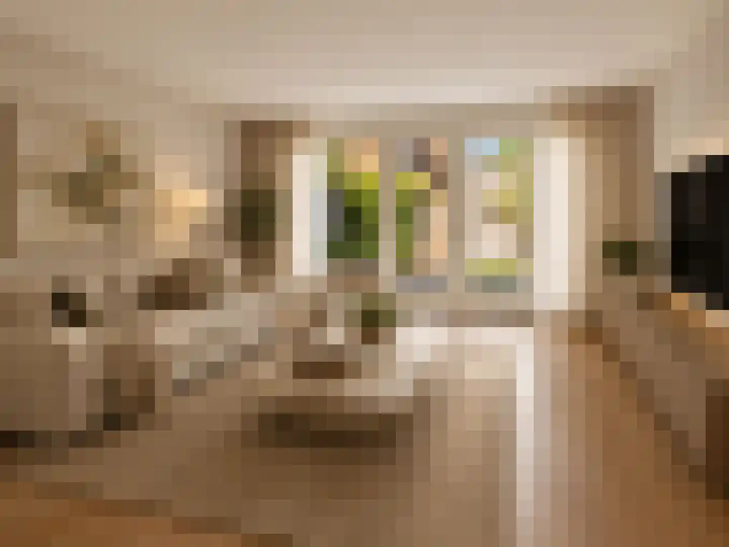 Buddinghof 5 Veenendaal thumbnail 10