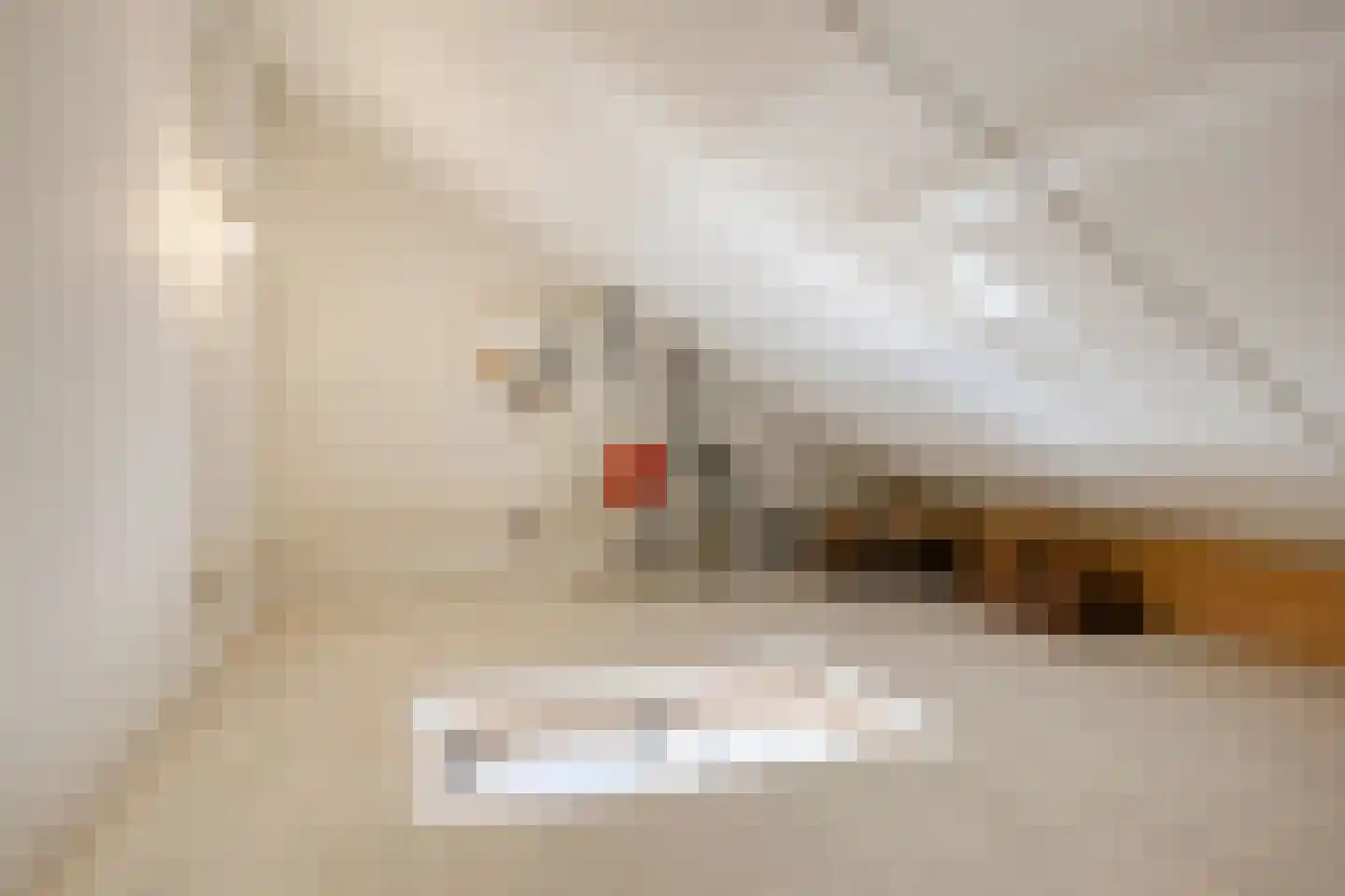 Buddinghof 5 Veenendaal thumbnail 36