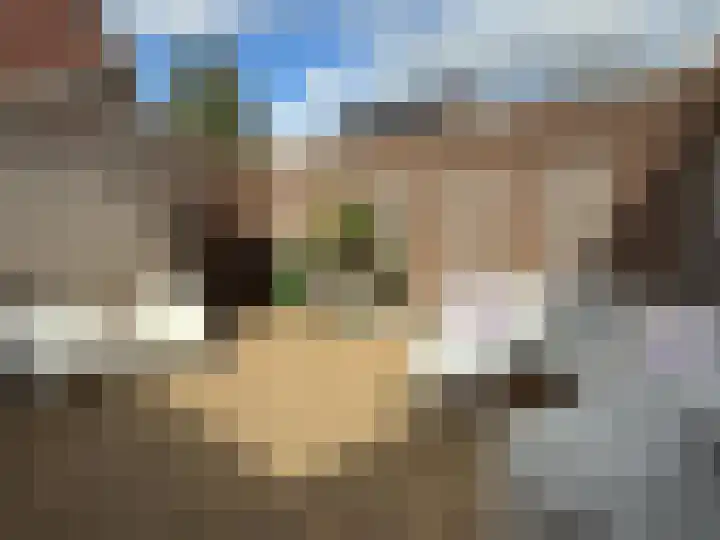 Buddinghof 75 Veenendaal thumbnail 31