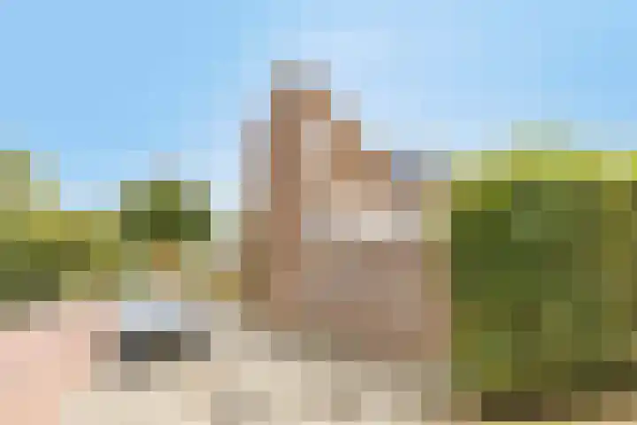 Buddinghof 75 Veenendaal thumbnail 32
