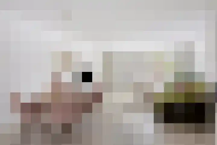 Buddinghof 75 Veenendaal thumbnail 9