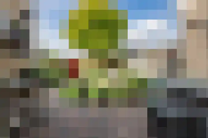Buddlejalaan 88 Heerhugowaard thumbnail 31