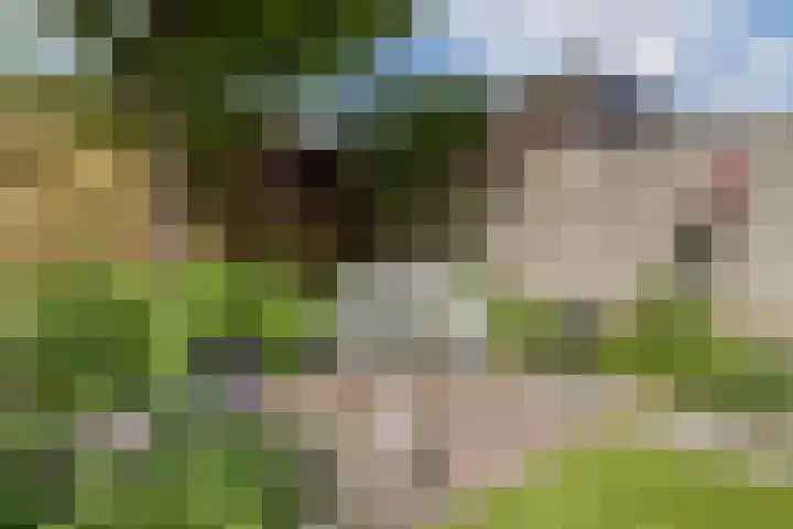Buddlejalaan 88 Heerhugowaard thumbnail 34