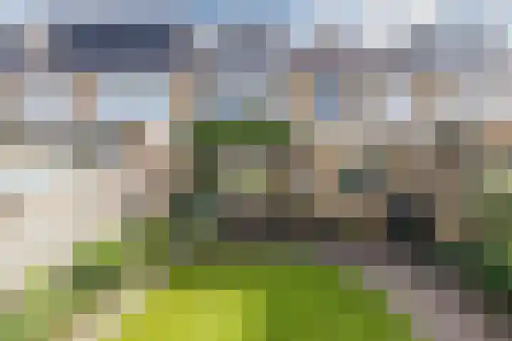 Buddlejalaan 88 Heerhugowaard thumbnail 37