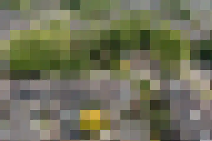 Buddlejalaan 88 Heerhugowaard thumbnail 38