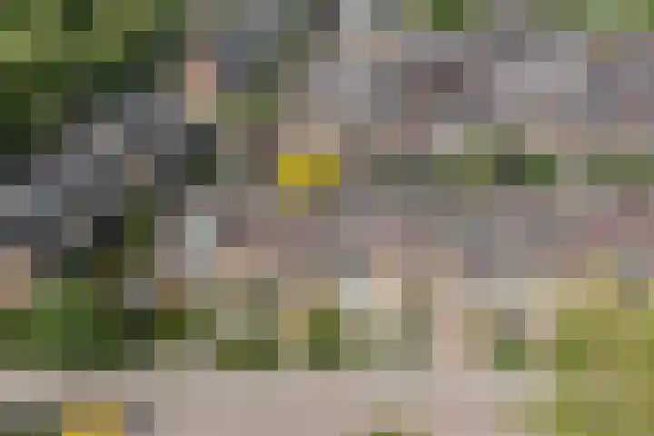 Buddlejalaan 88 Heerhugowaard thumbnail 41