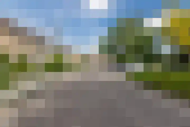 Buddlejalaan 88 Heerhugowaard thumbnail 47