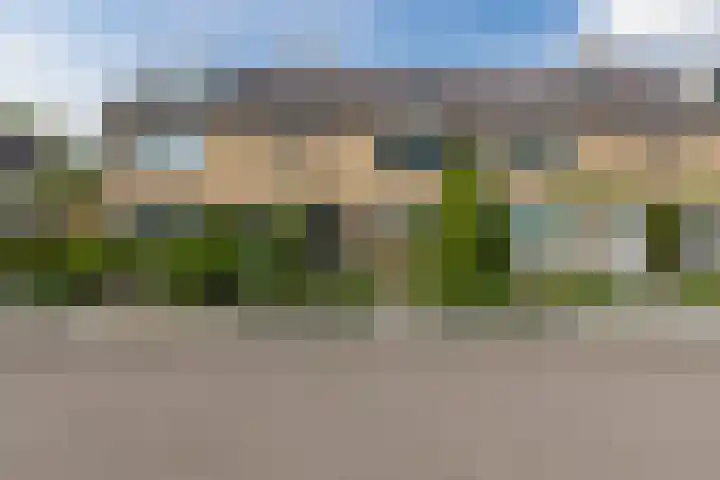 Buddlejalaan 88 Heerhugowaard thumbnail 54