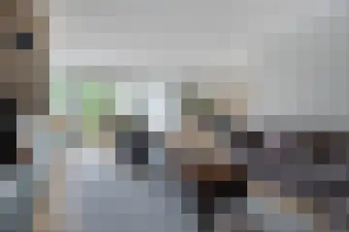 Buddy Boldenlaan 41 Eindhoven thumbnail 13