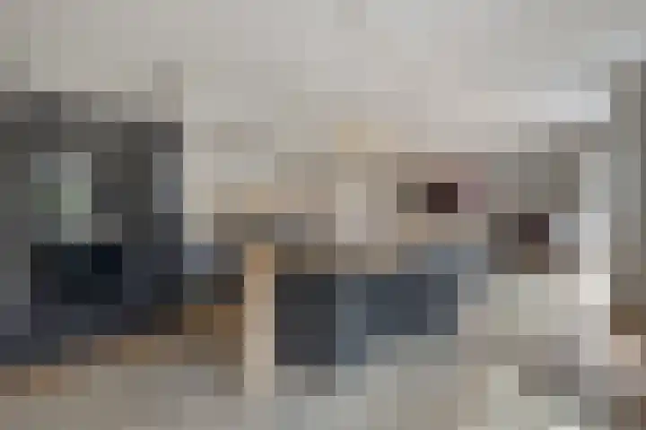 Buddy Boldenlaan 41 Eindhoven thumbnail 18