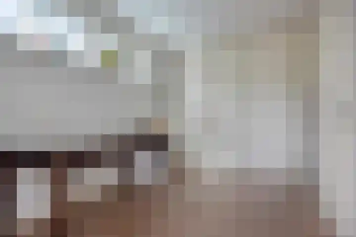 Buddy Boldenlaan 41 Eindhoven thumbnail 30