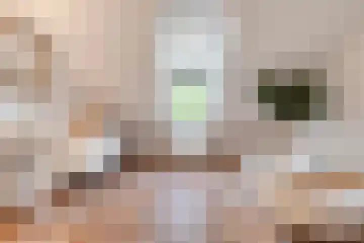Buddy Boldenlaan 41 Eindhoven thumbnail 37