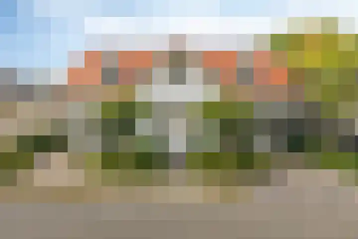 Buddy Boldenlaan 41 Eindhoven thumbnail 5