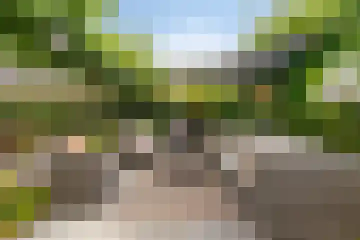 Buddy Boldenlaan 41 Eindhoven thumbnail 68
