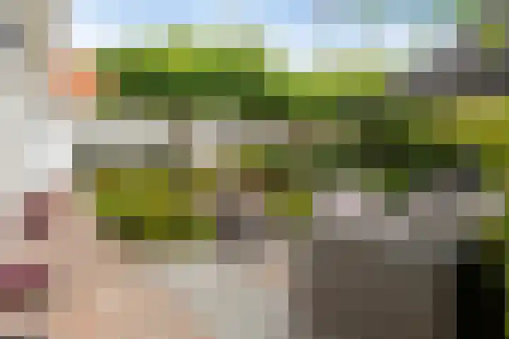 Buddy Boldenlaan 41 Eindhoven thumbnail 69