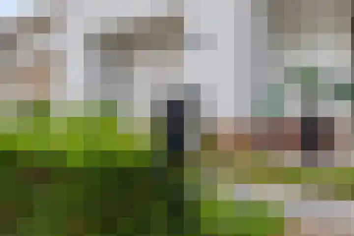 Buddy Boldenlaan 41 Eindhoven thumbnail 7