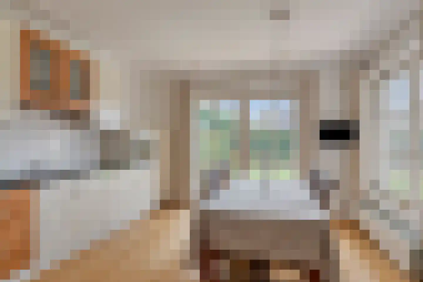 Buddy Boldenlaan 46 Eindhoven thumbnail 17