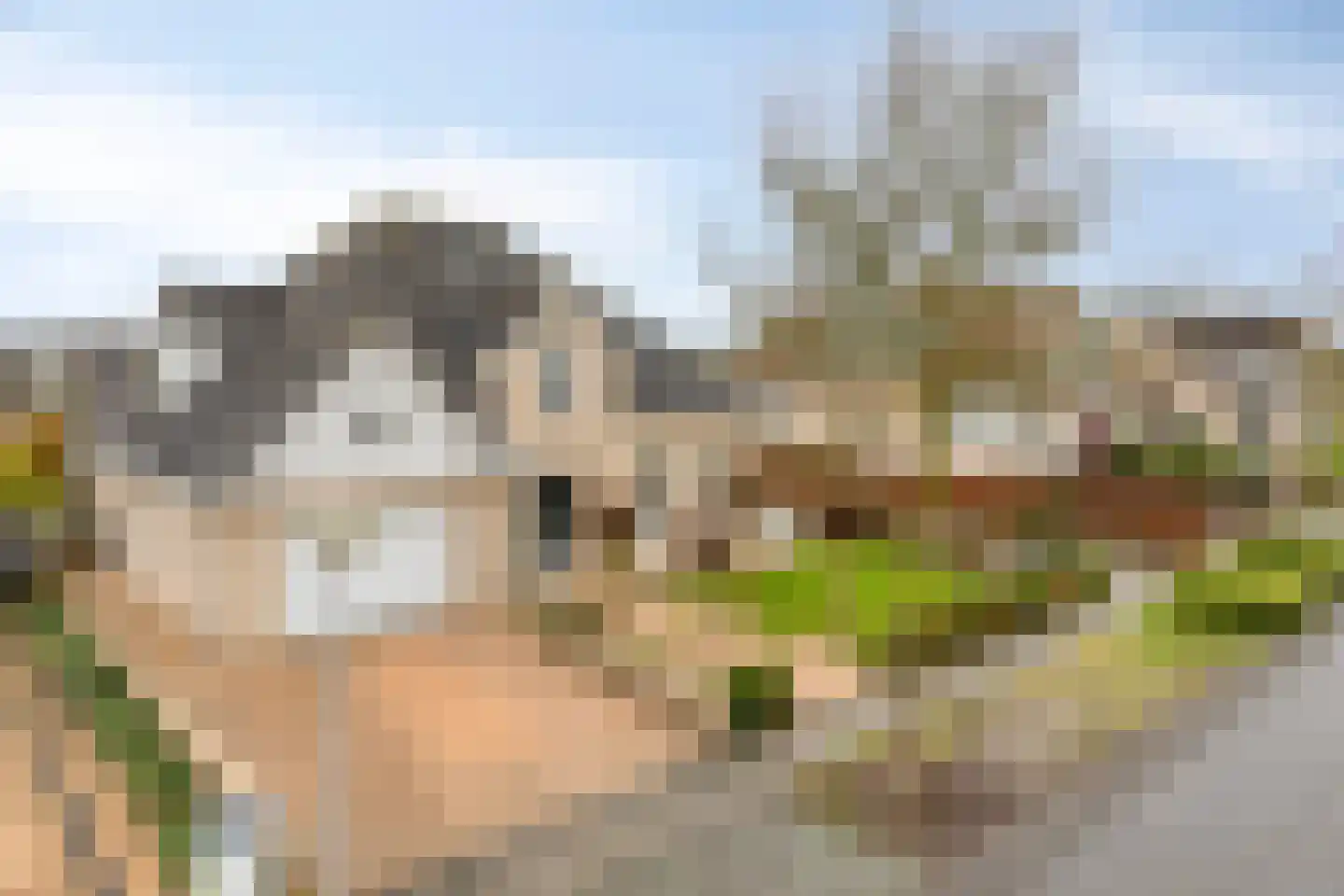 Buddy Boldenlaan 46 Eindhoven thumbnail 50
